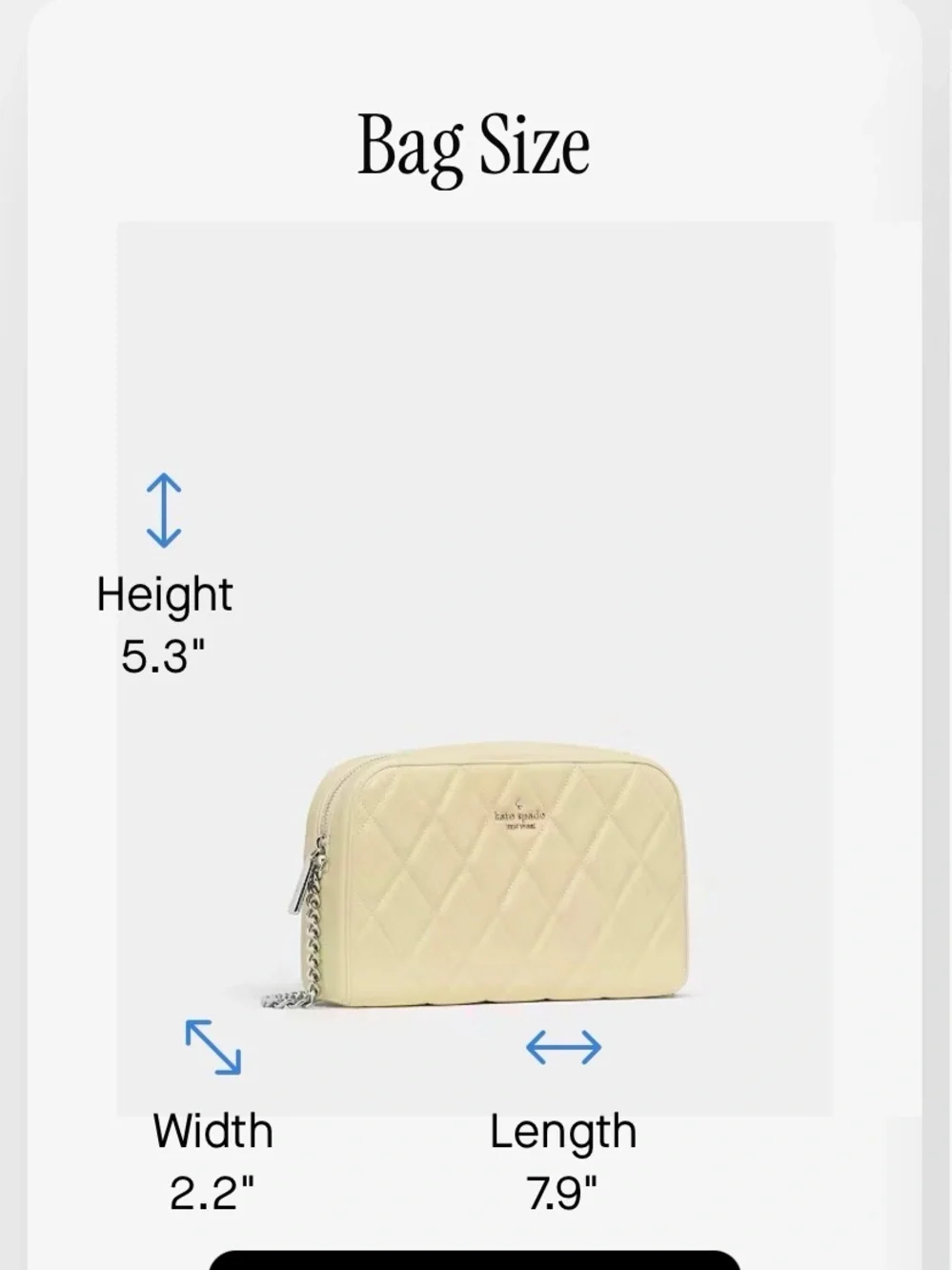 Kate Spade Carey Chain Camera Bag